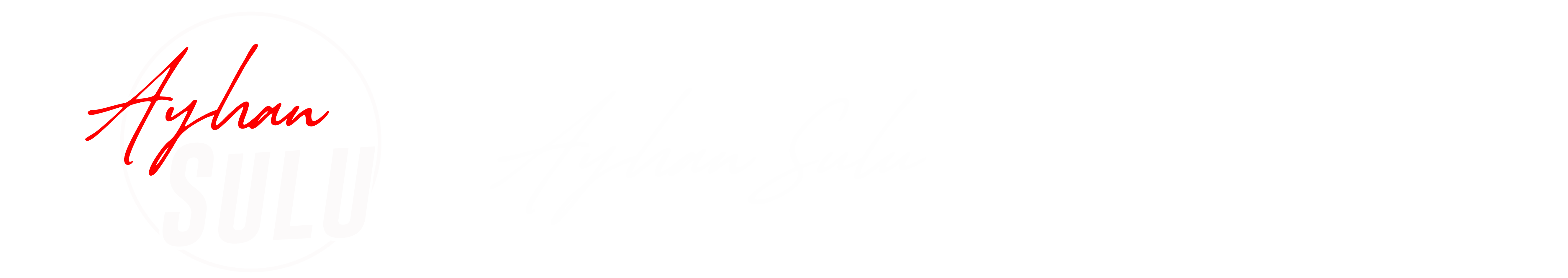 Ayhan Sulu Logo